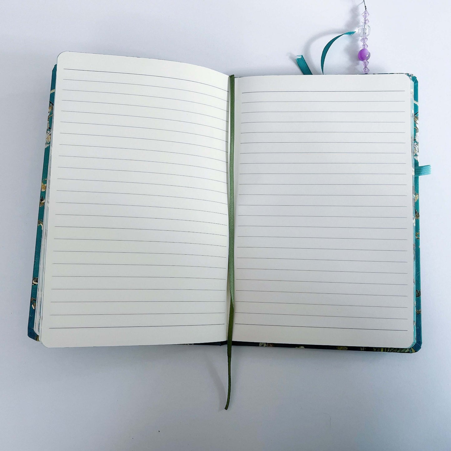 Journal shown with the pages open.