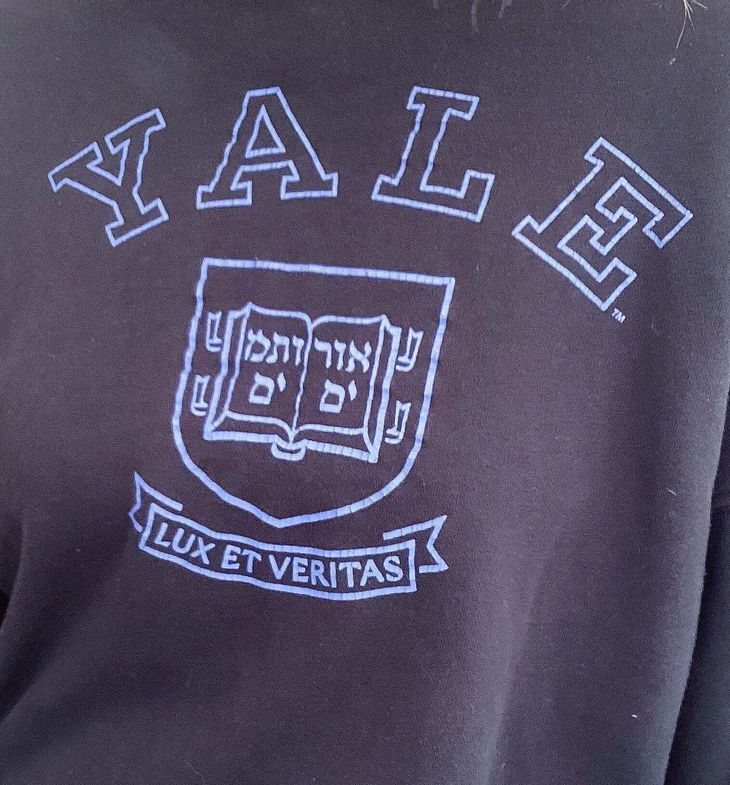 Front detail view of sweatshirt, print of yale and lux et veritas in blue, with hebrew writing beneath.